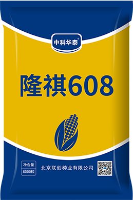 隆祺608